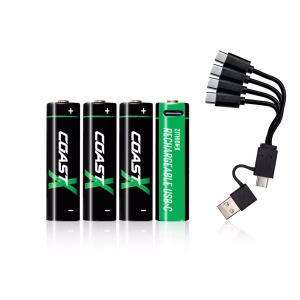 Coast AA USB-C Akkus